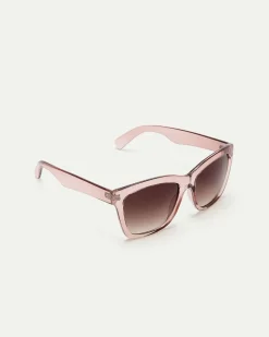 Wayfarer Plastic Sunglasses